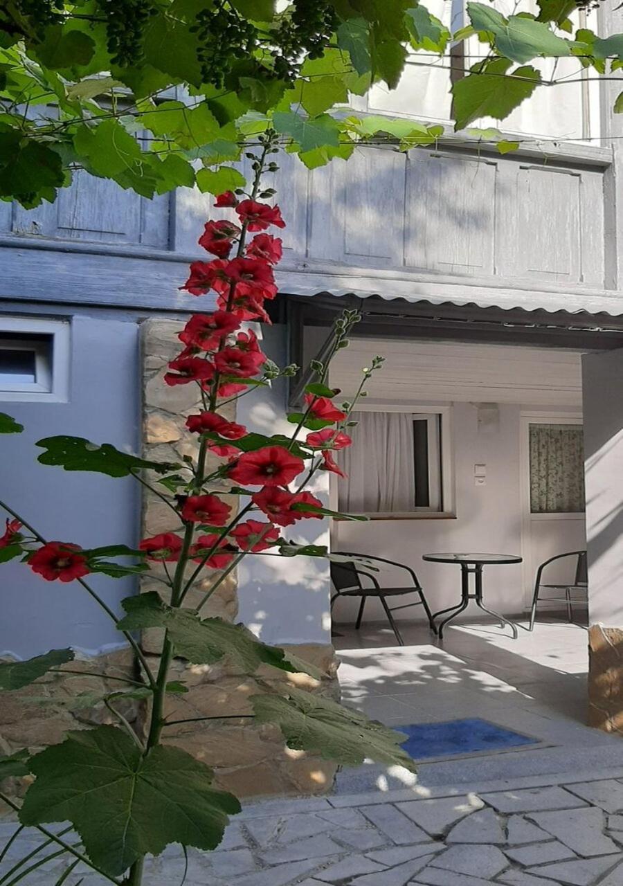 Beso-House Διαμέρισμα Borjomi Εξωτερικό φωτογραφία